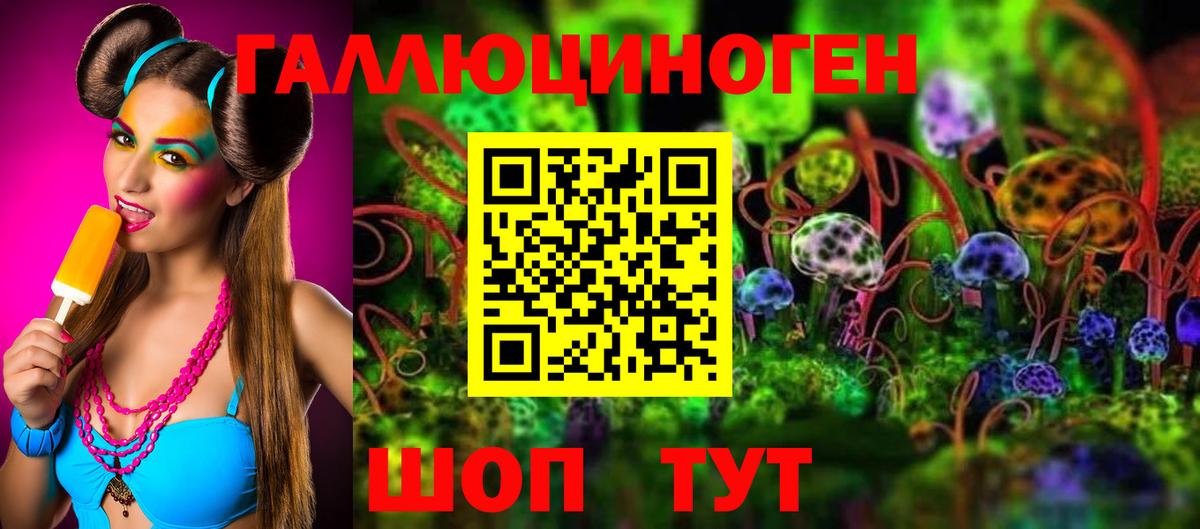 Псилоцибиновые грибы GOLDEN TEACHER Гусиноозёрск